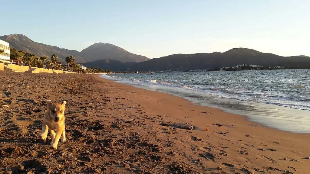 Hera Beach Hotel Gcr Fethiye