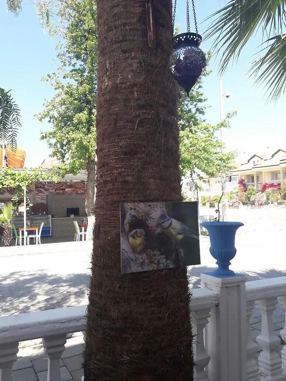 Hera Beach Hotel Gcr 0*, Fethiye
